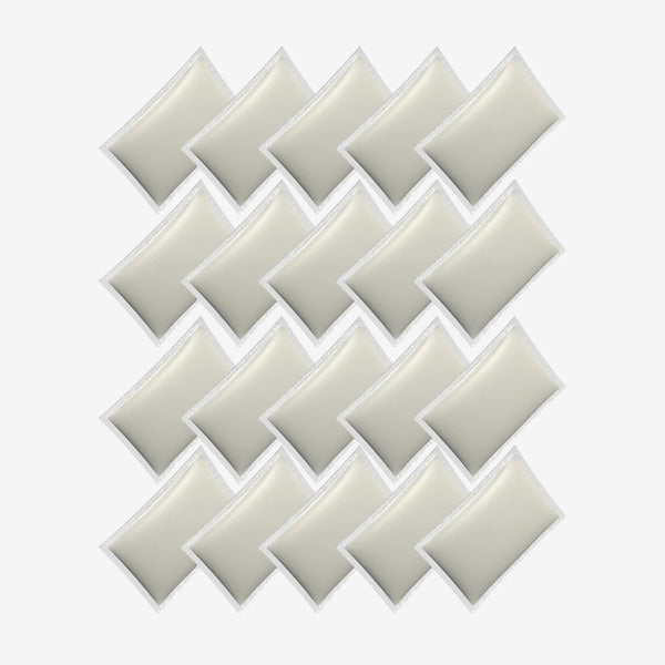 Clesana Super Absorber 20 Bags (C1 / X1)